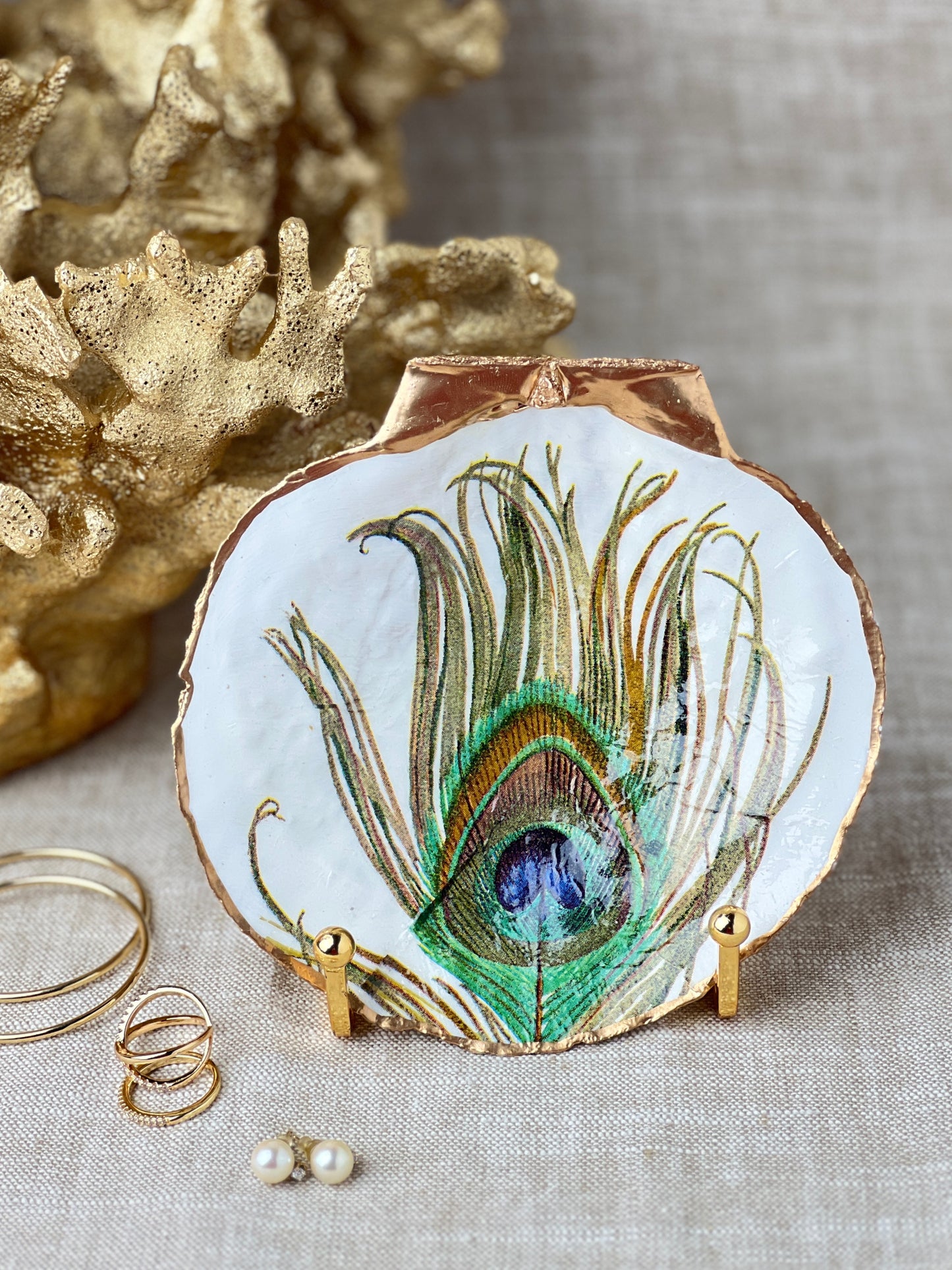Peacock Feather Scallop Shell