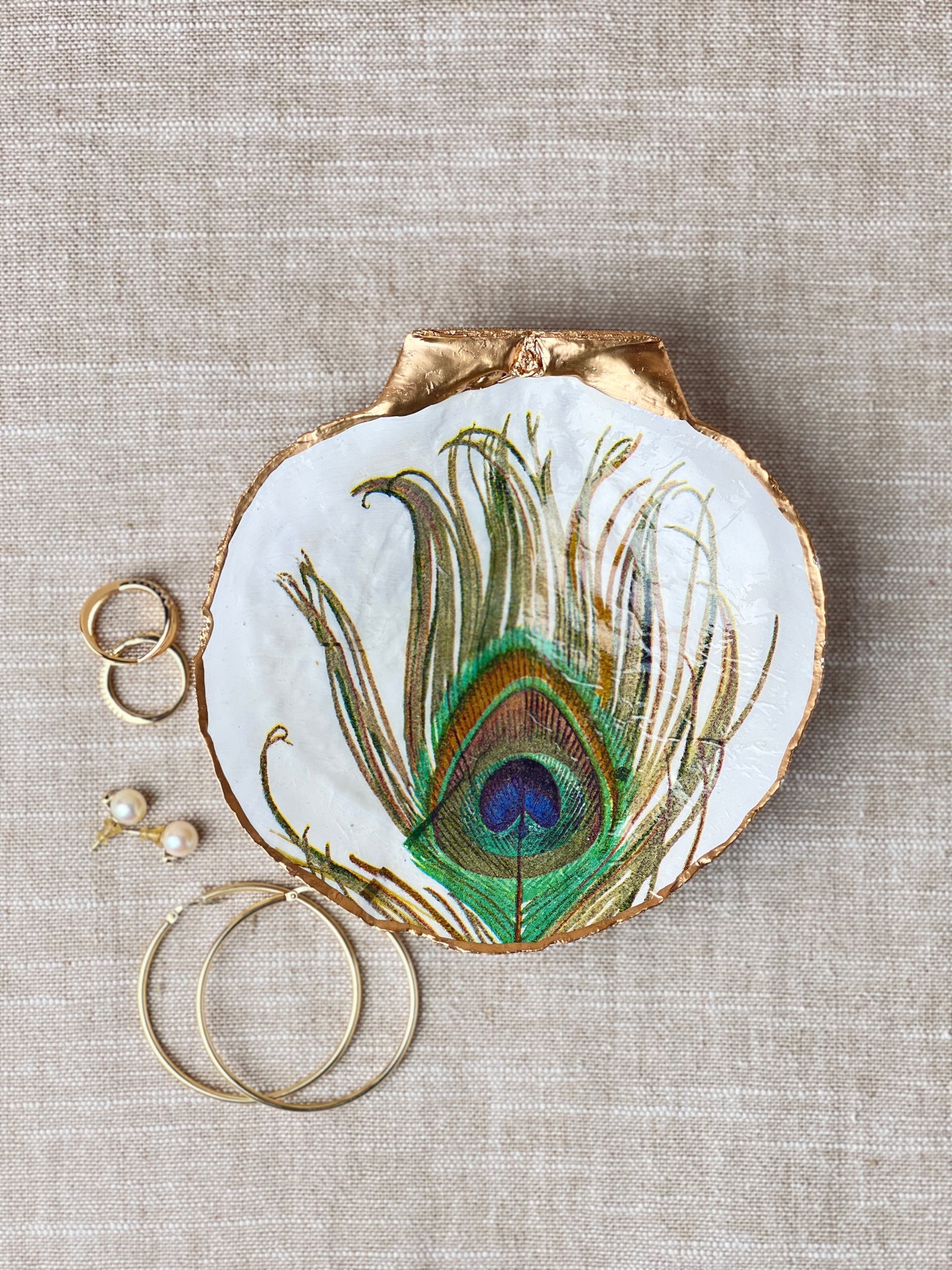 Peacock Feather Scallop Shell