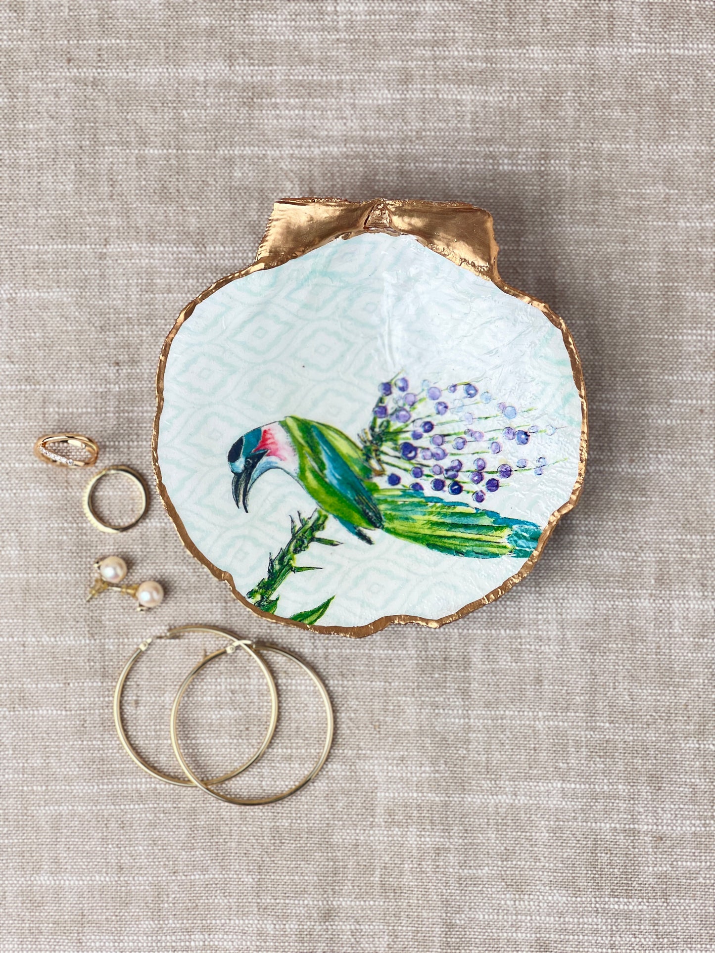 Exotic Bird Scallop Shell
