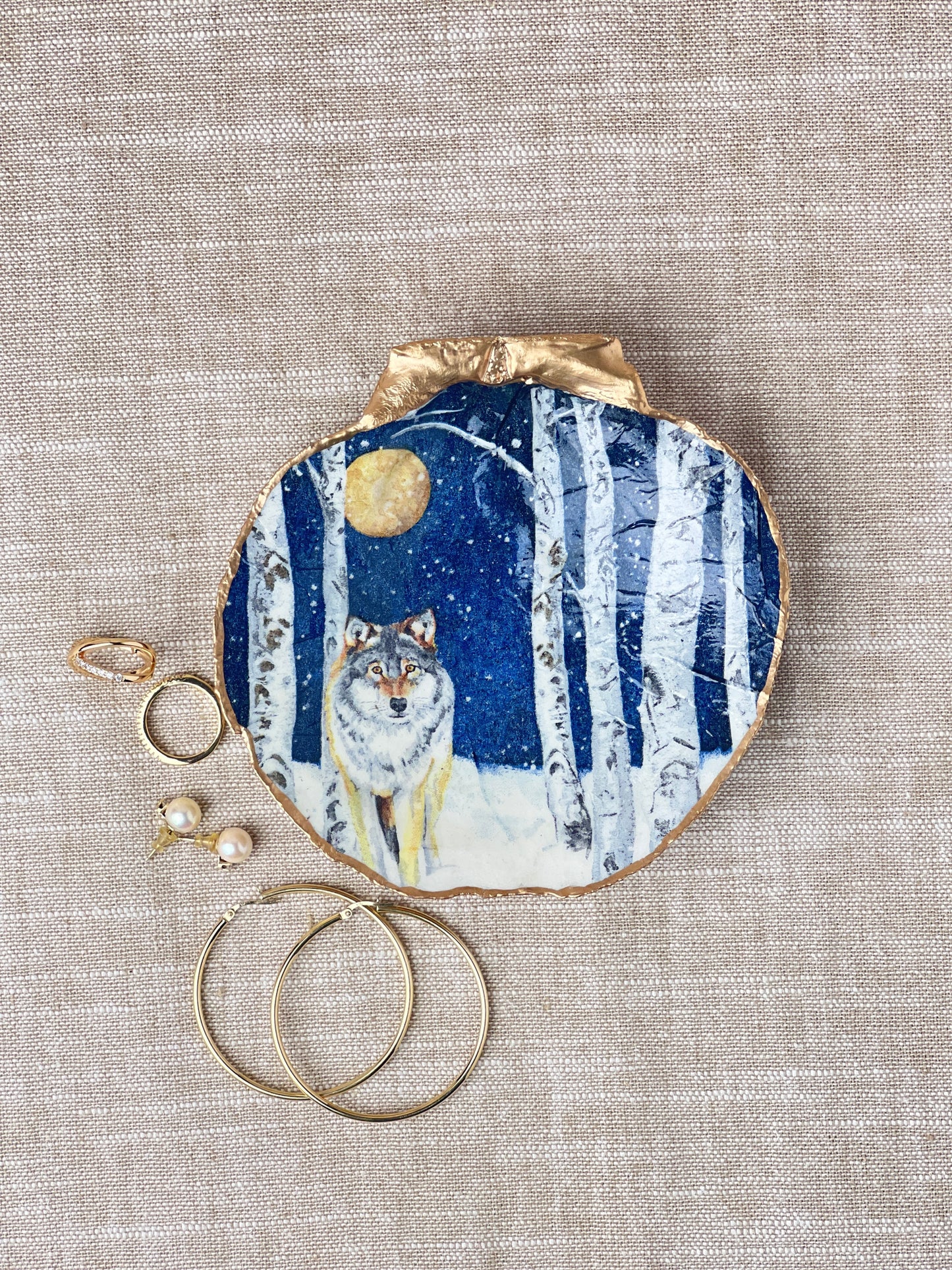 Wolf Scallop Shell
