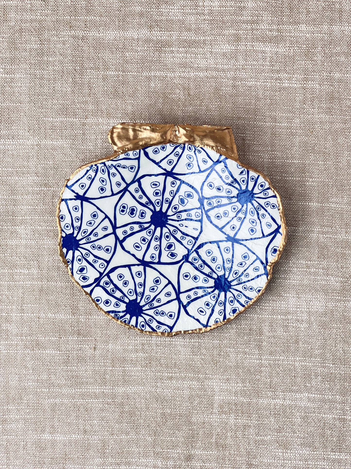 Blue Sand Dollar Scallop Shell