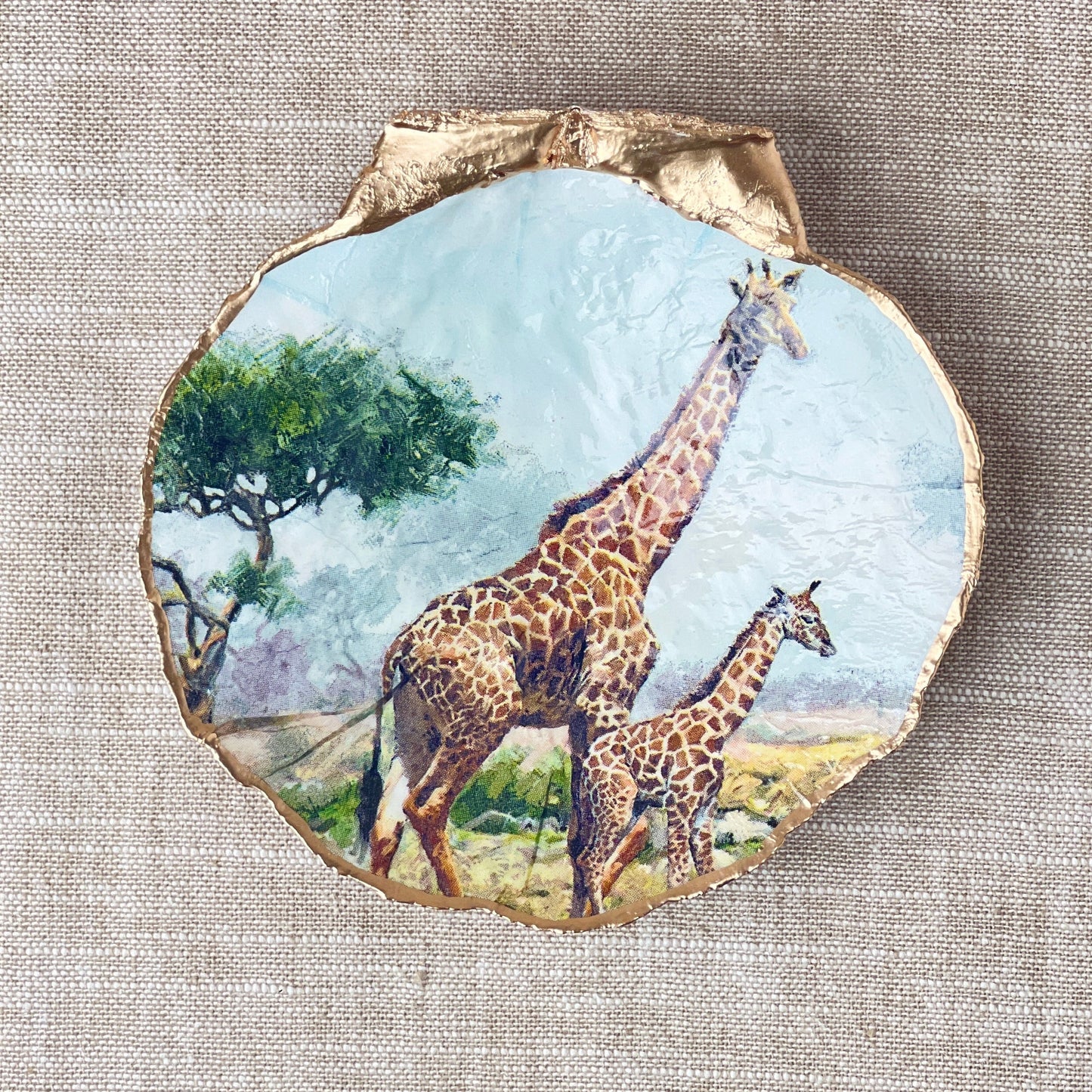 Giraffe Safari Scallop Shell