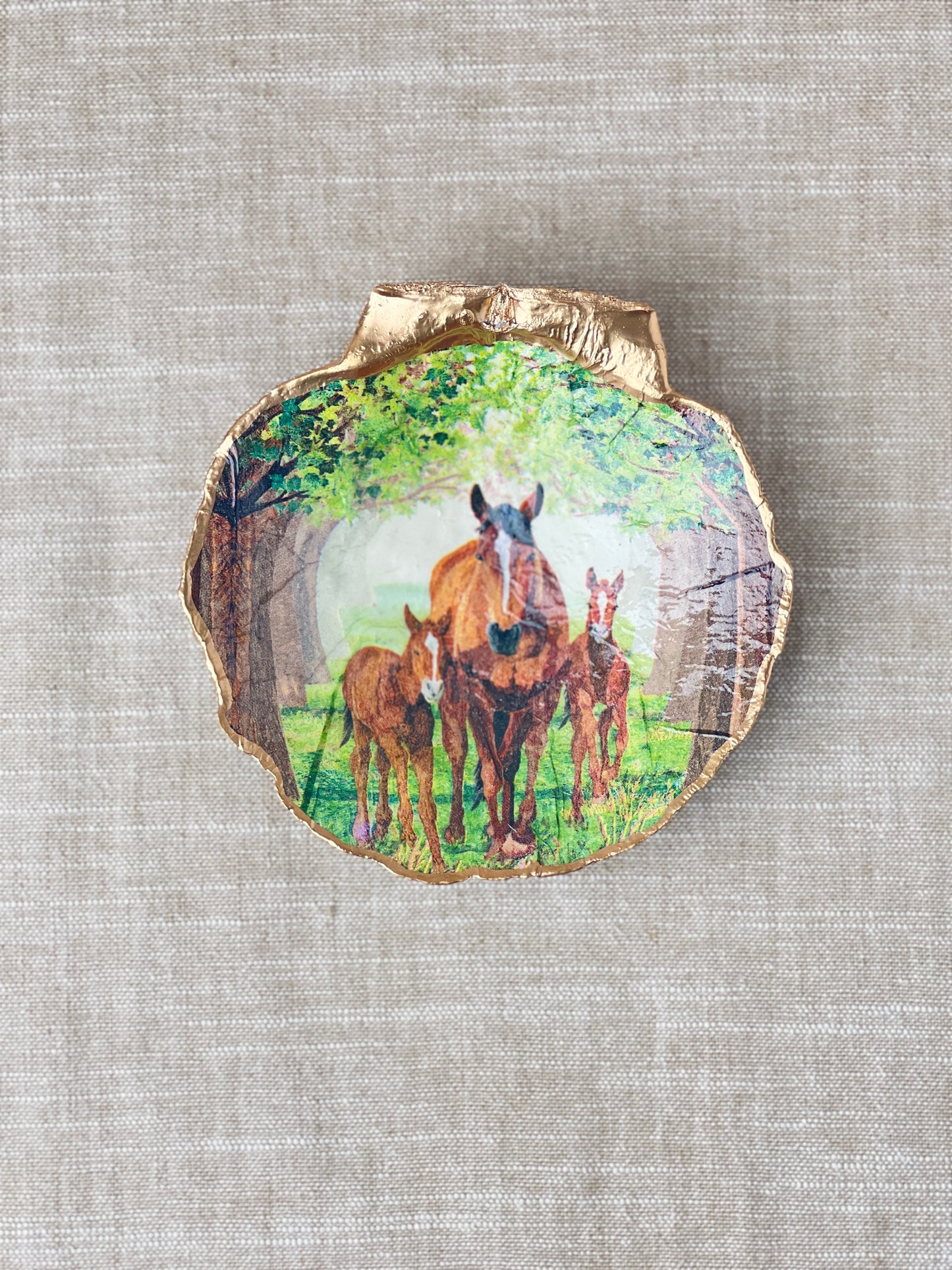 Horses Scallop Shell