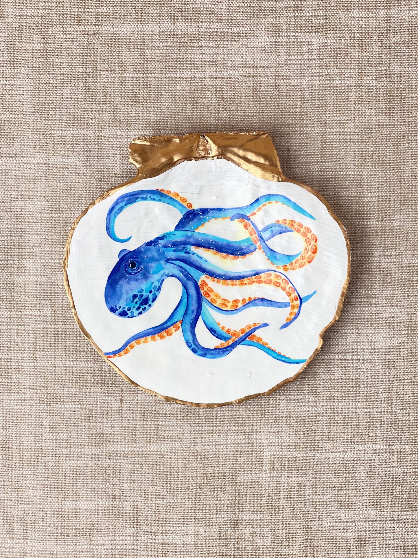 Octopus Scallop Shell Blue Orange