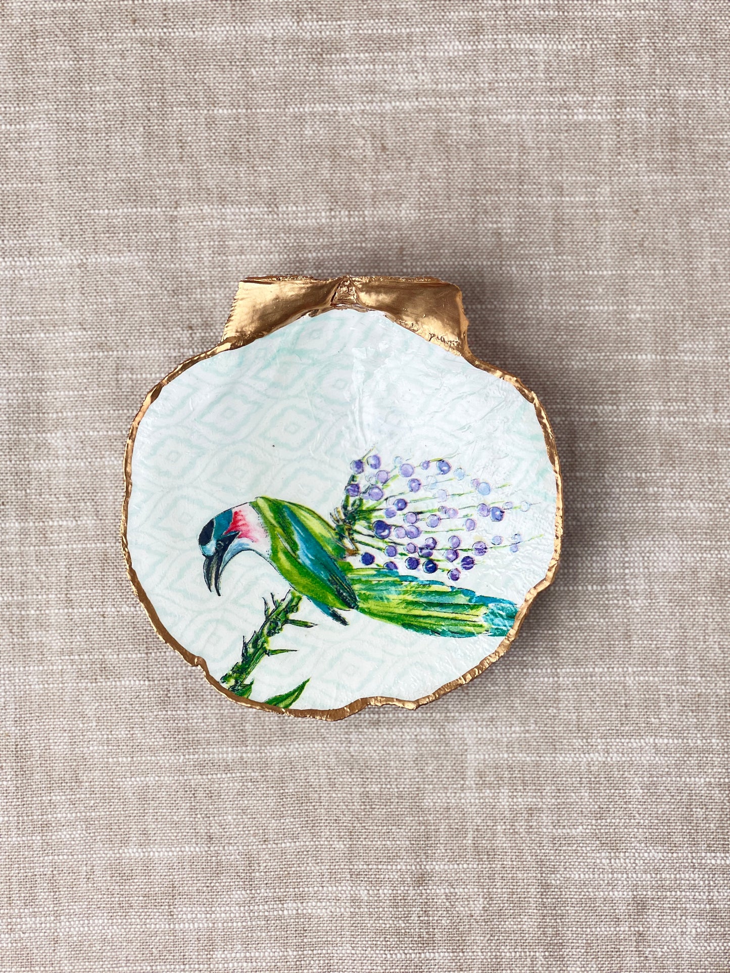 Exotic Bird Scallop Shell
