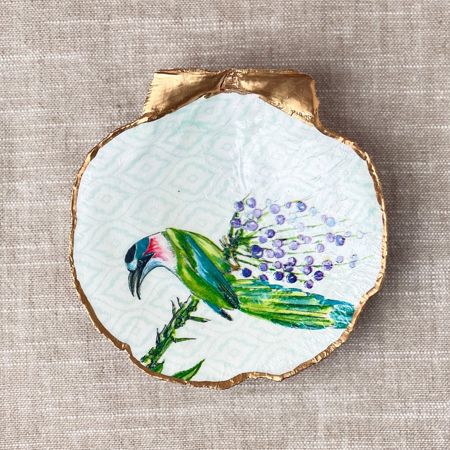 Exotic Bird Scallop Shell