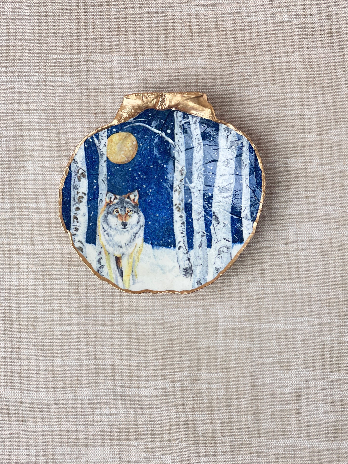 Wolf Scallop Shell