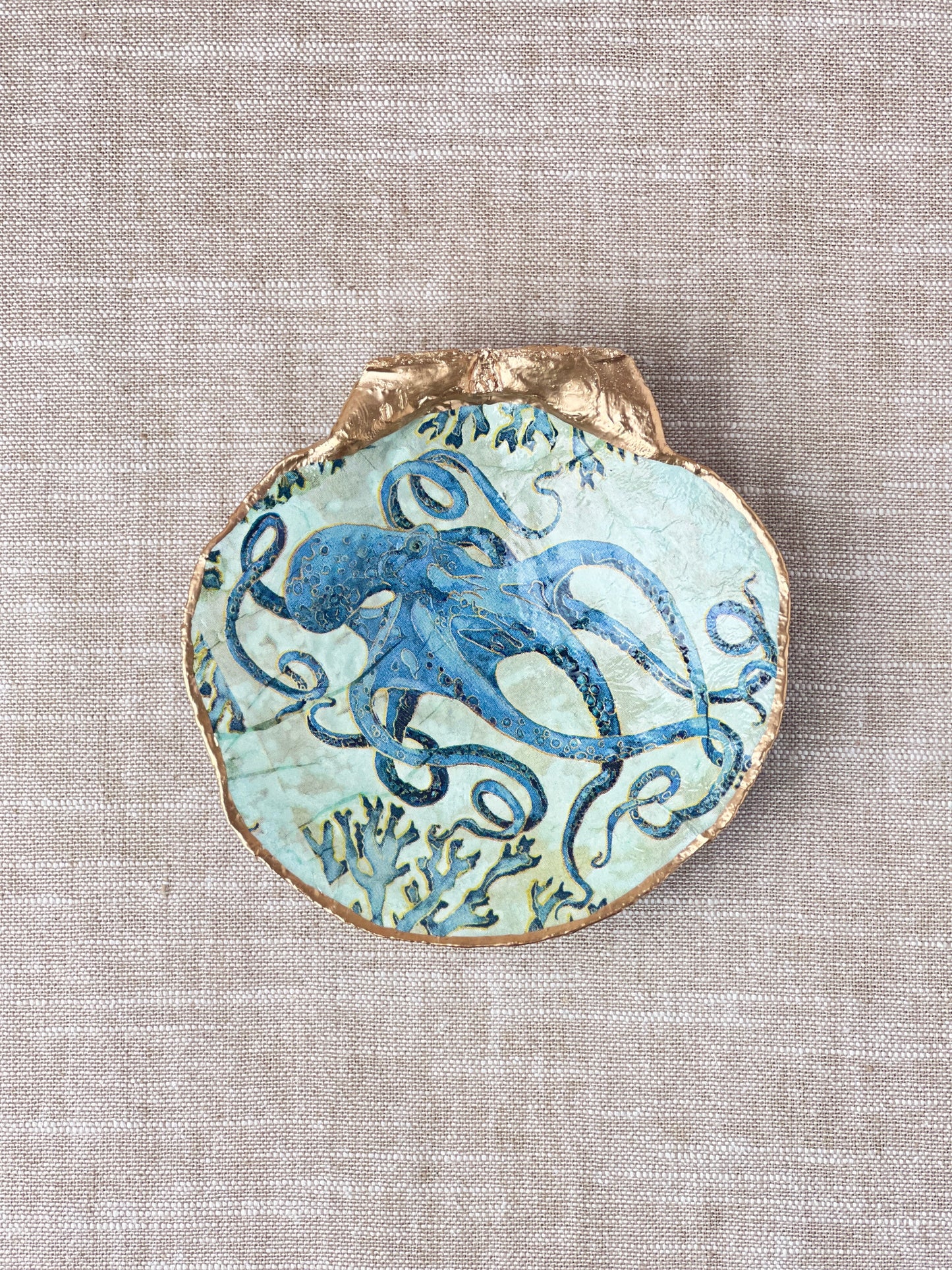 Octopus Scallop Shell Blue Grey