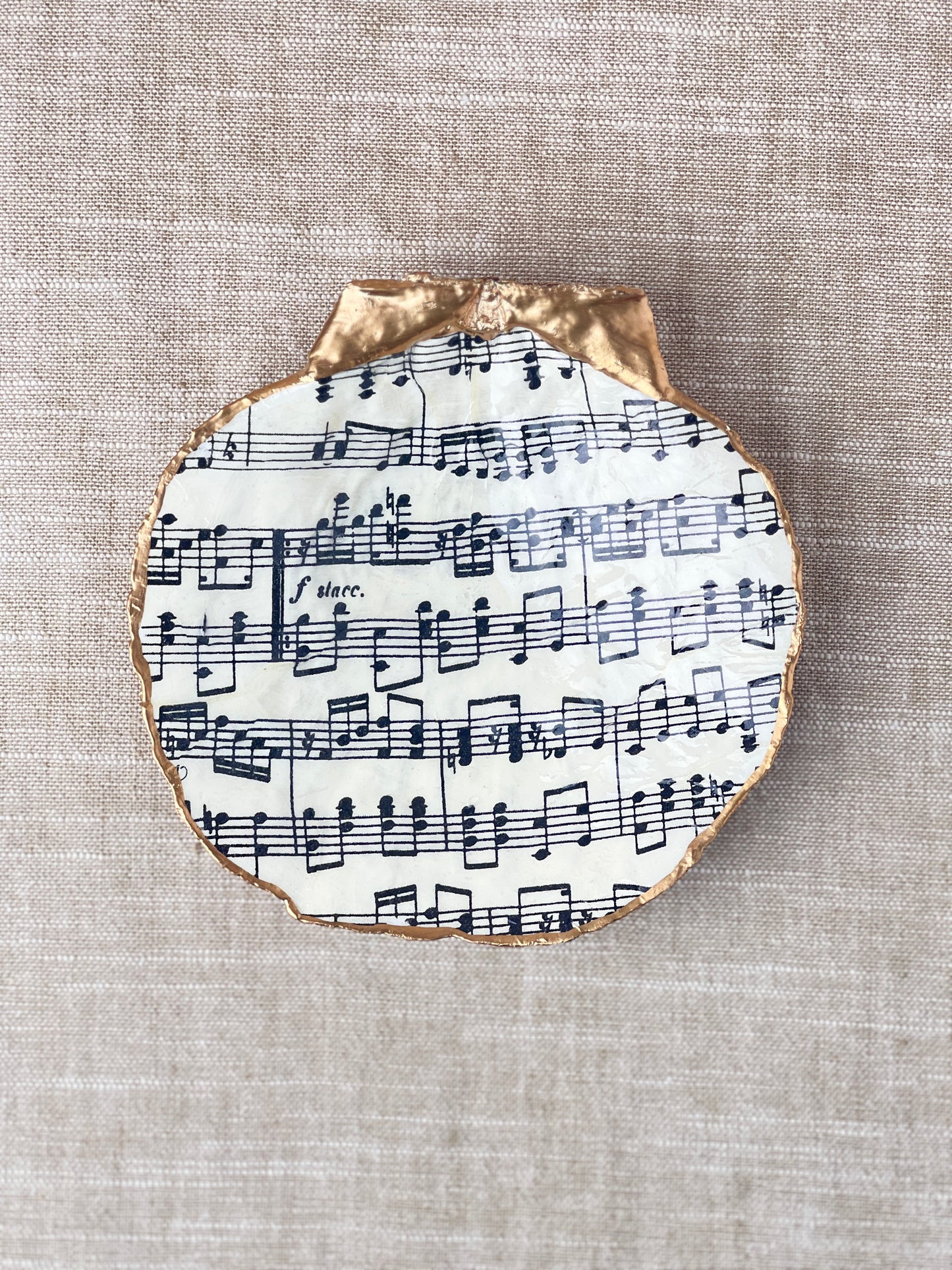 Sheet Music Scallop Shell