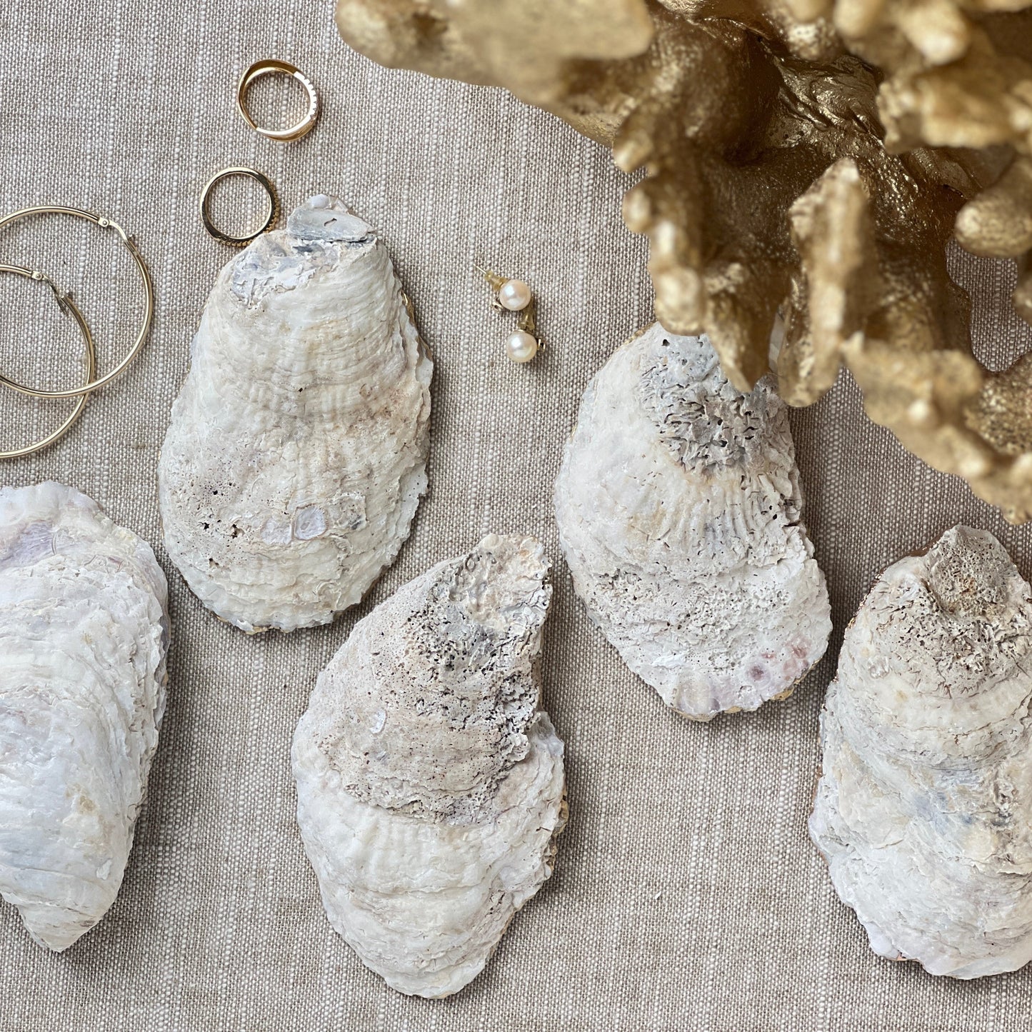 natural oyster shell back with gold jewelry on a textured fabric background.