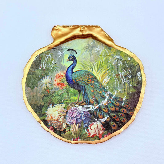 Decorative shell with a peacock illustration on a light blue background