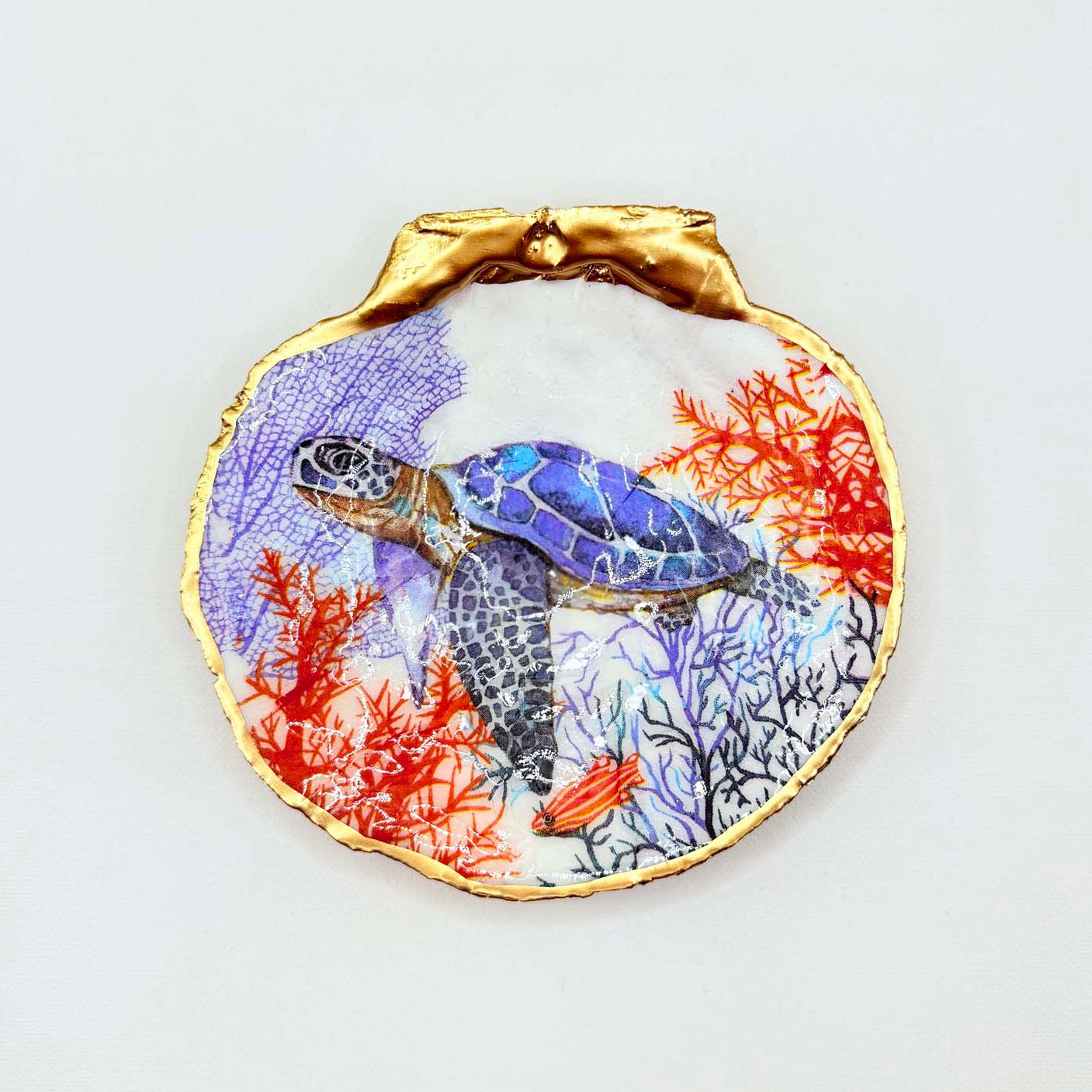 Sea Turtle design on scallop shell ring dish.