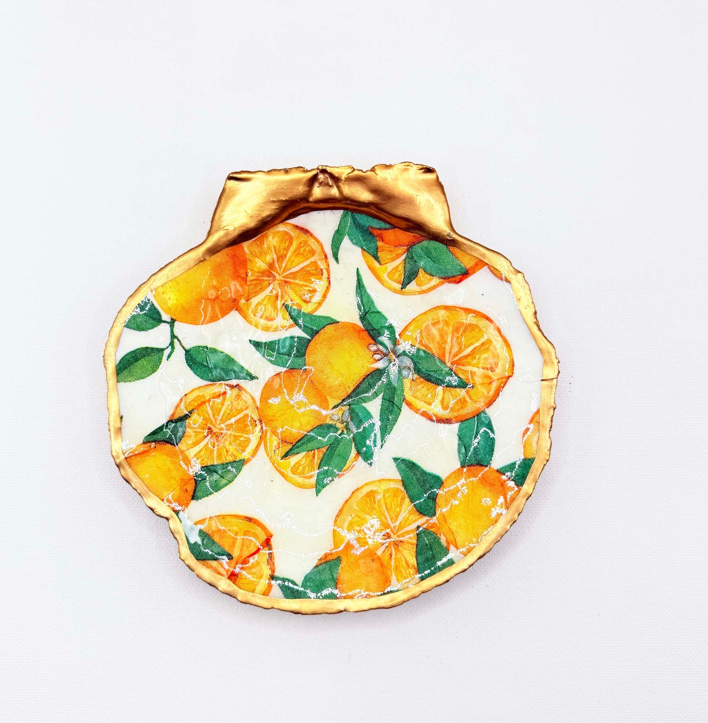Oranges Scallop Shell