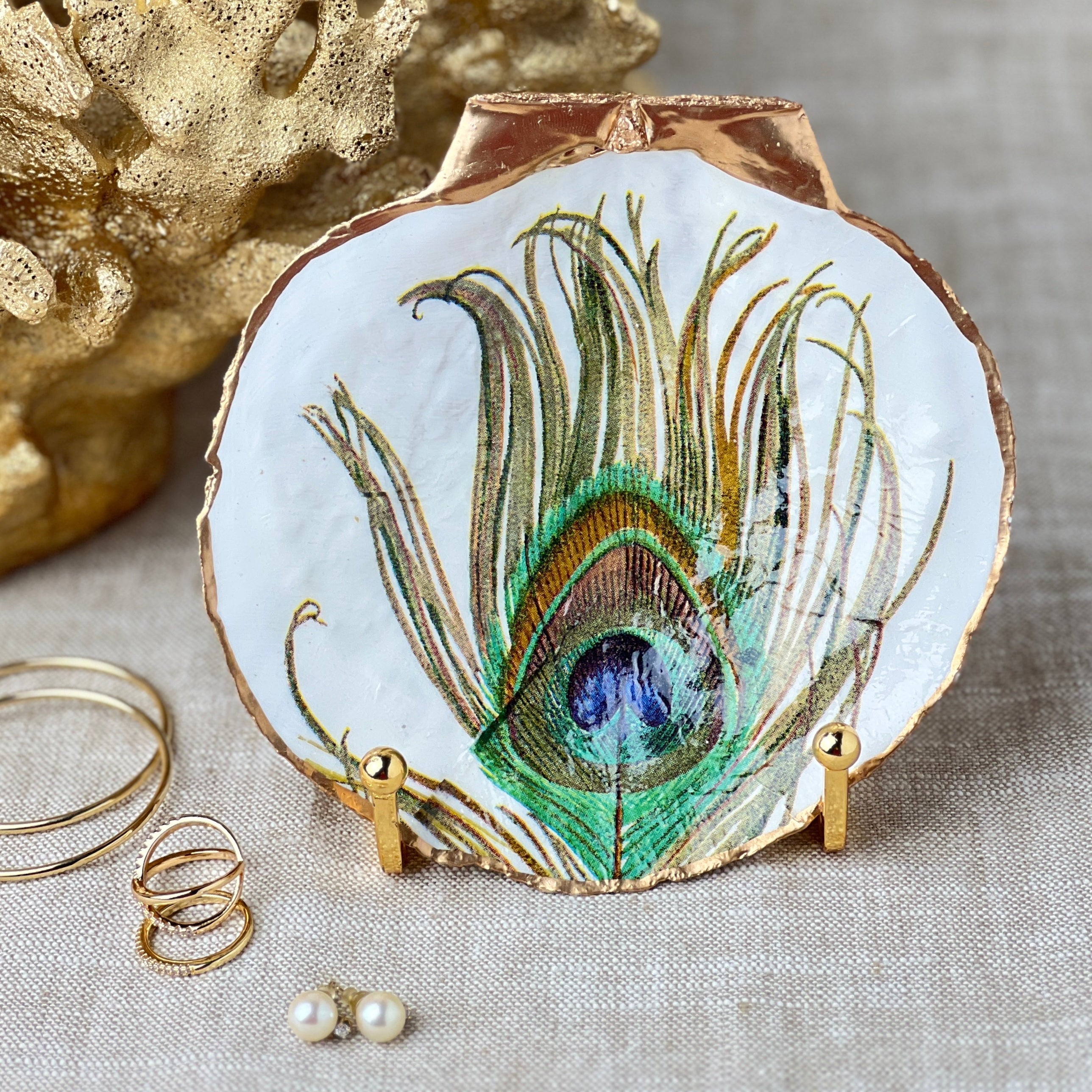 Peacock Inner Shell Peacock Feather Scallop Shell – Coast And Canyon Shop