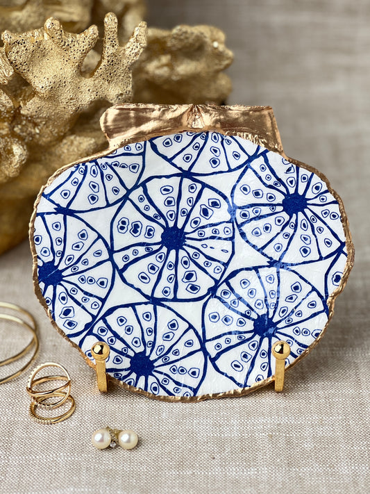 Blue Sand Dollar Scallop Shell