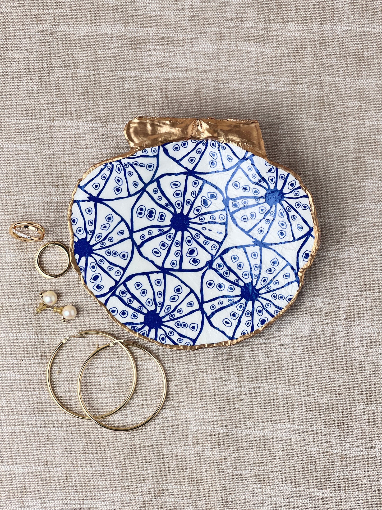 Blue Sand Dollar Scallop Shell