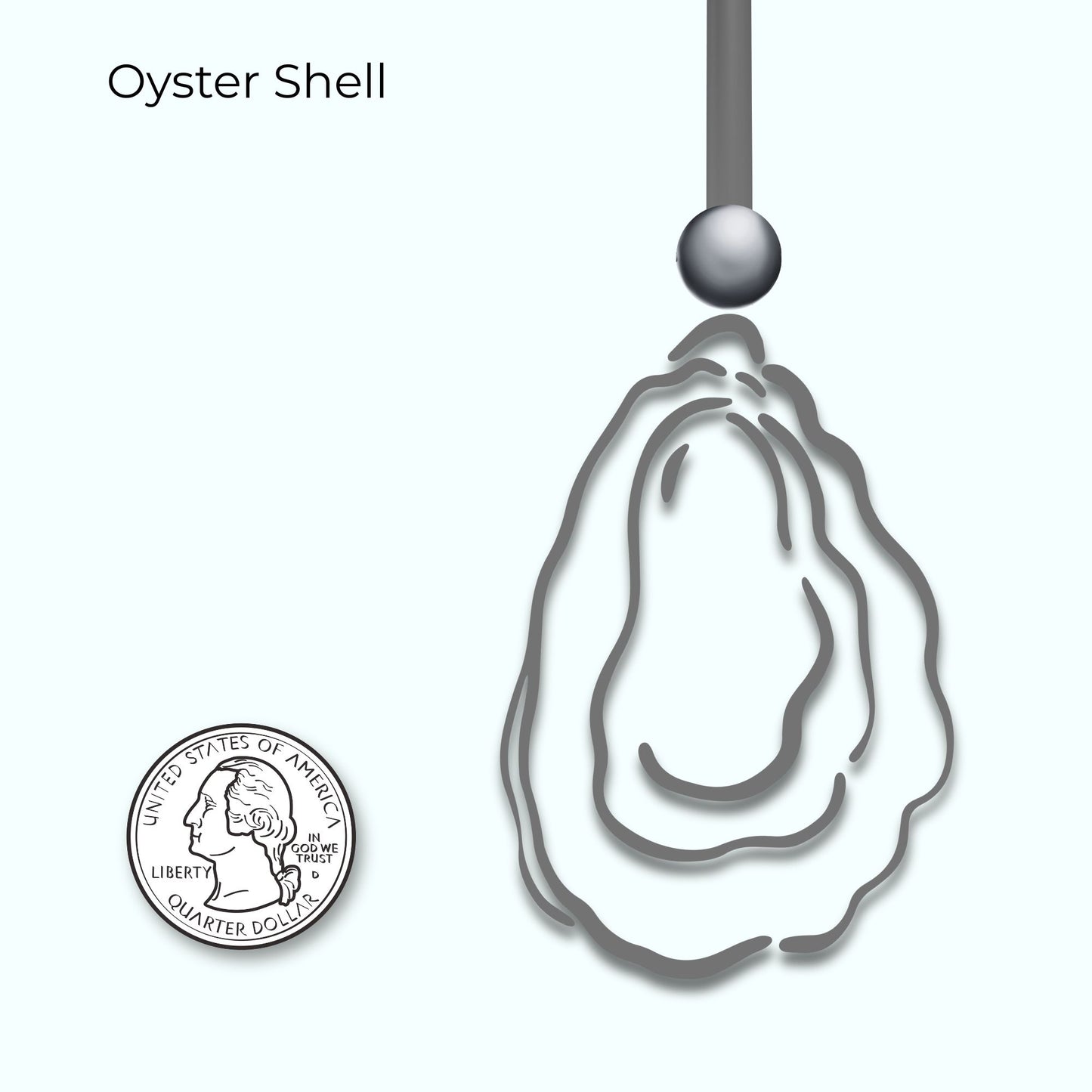 Infographic of oyster shell with a quarter for scale on a white background.