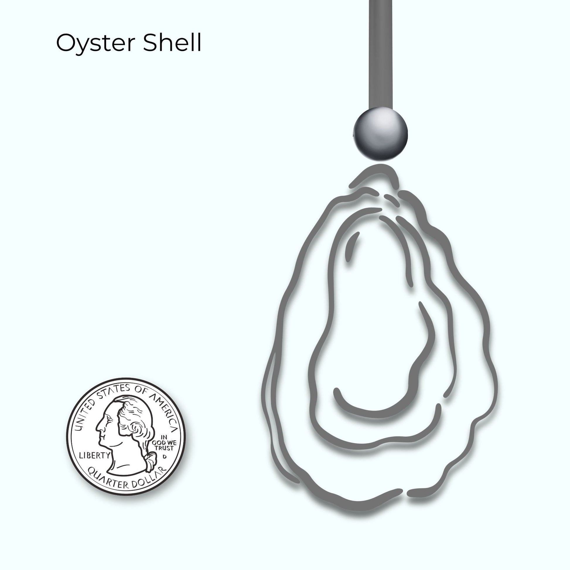 Infographic of oyster shell with a quarter for scale on a white background.